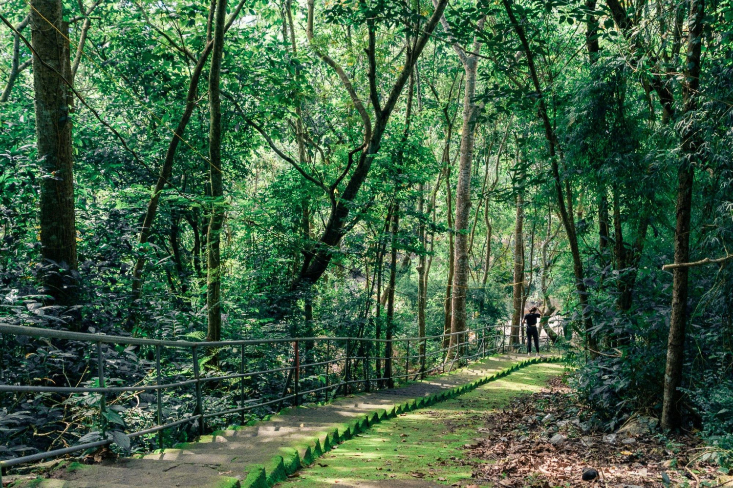 suối tiên Vũng Tàu